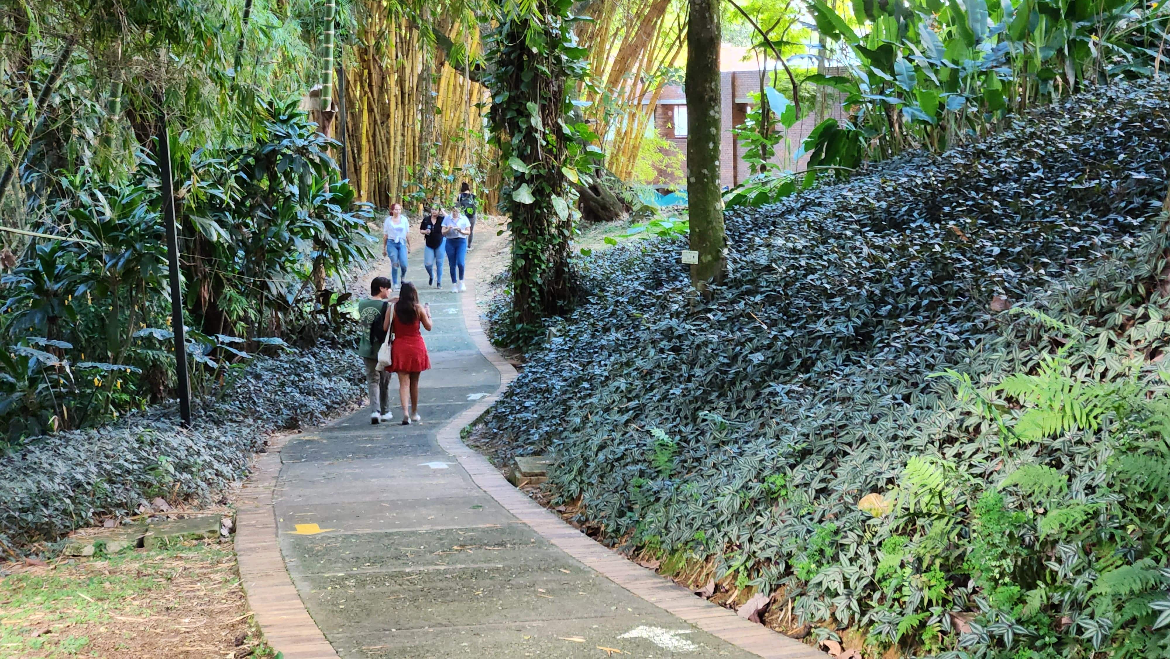 Campus Javeriana Cali