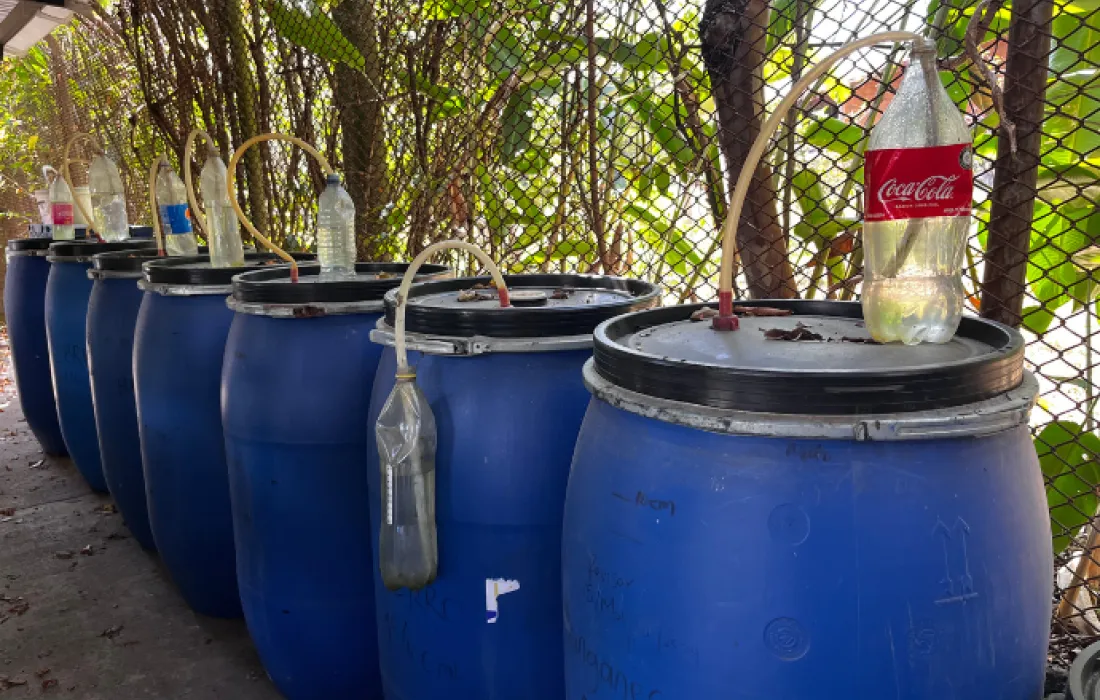 Laboratorio de biofertilizantes