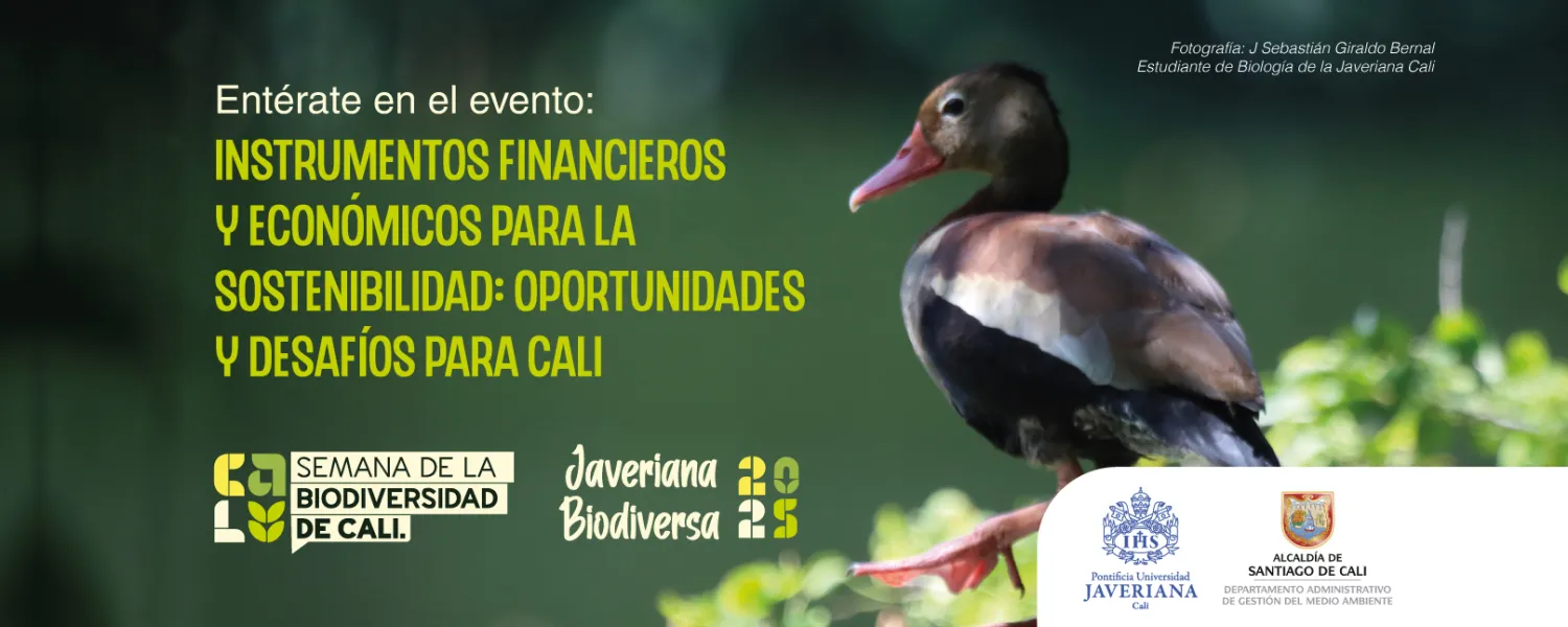 Instrumentos financieros y económicos para la sostenibilidad: oportunidades y desafíos para Cali