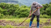 Conflictos agrarios, conflicto armado e instituciones: relaciones, interacciones y causalidades