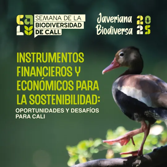 Instrumentos financieros y económicos para la sostenibilidad: oportunidades y desafíos para Cali