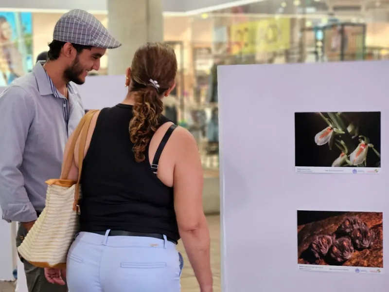 Muralismo y fotografía, una oda a la biodiversidad de la Javeriana Cali que engalana los pasillos del Centro Comercial Jardín Plaza 